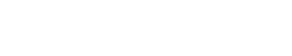 Multi Dynamic